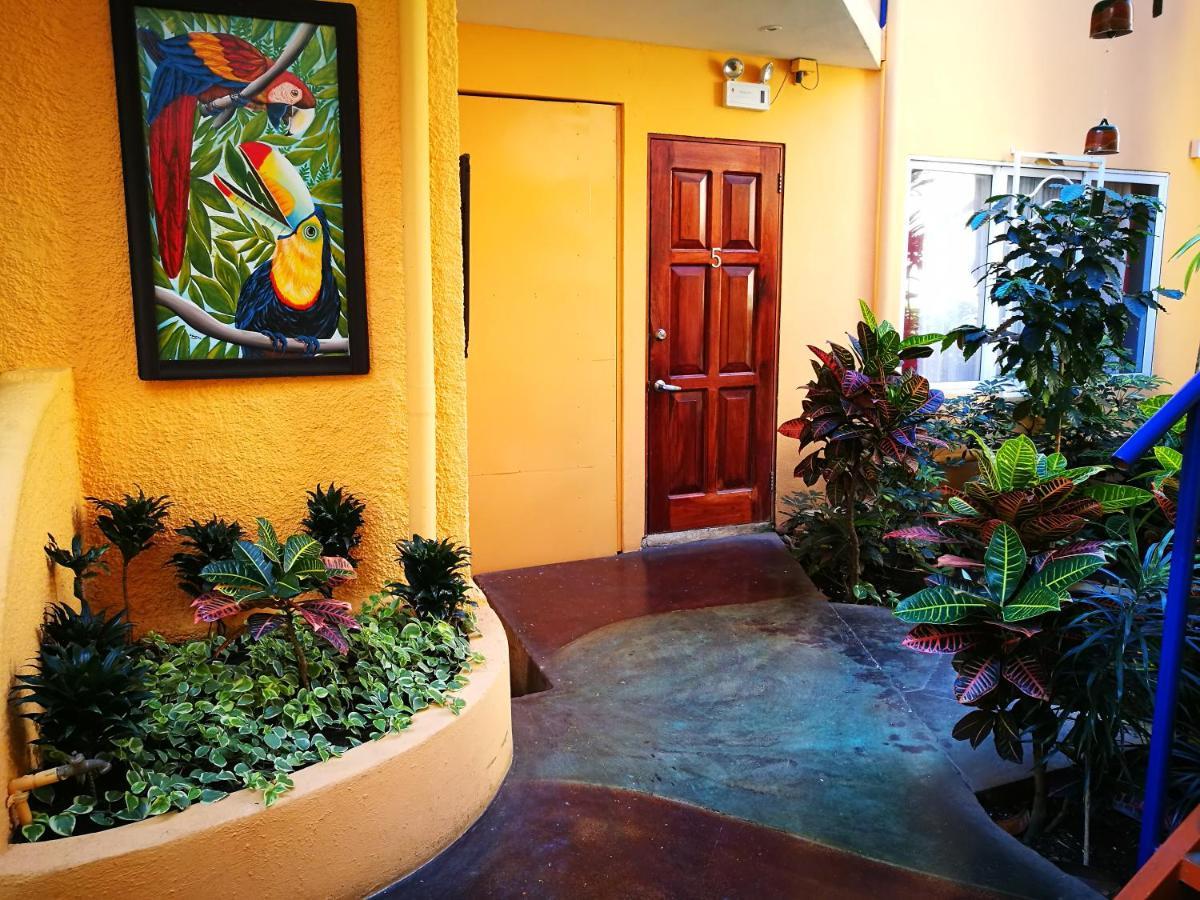 Hotel Casa 69 San Jose  Bagian luar foto